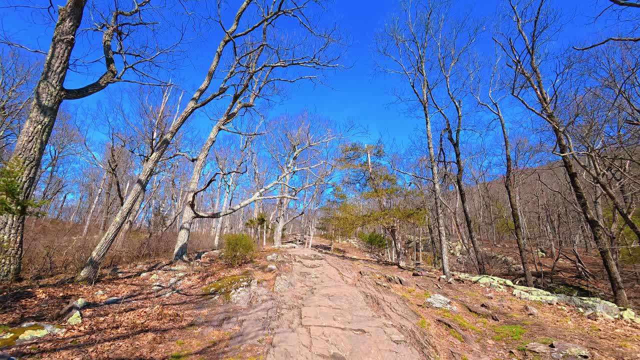Stenet vandresti op ad bakke gennem skov ved Mount Tammany, USA. Vidvinkelbillede af en stensti, der stiger op gennem et skovområde med bladløse træer under en klar blå himmel.