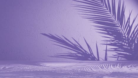 a palm leaves shadow on purple background wall with copy space