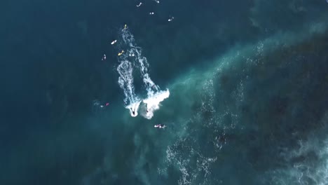 Vogelperspektive-Auf-Surfende-Menschen-Auf-Der-Welle-Am-Cronulla-Punkt