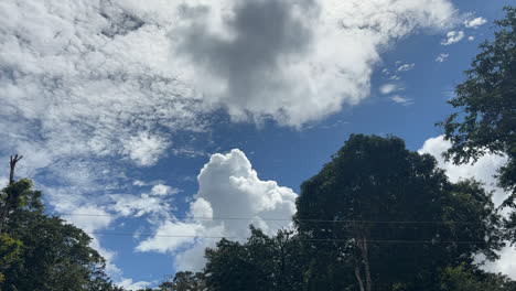 Zeitraffer-Von-Wolken-Vor-Blauem-Himmel-An-Einem-Sonnigen-Tag-Im-Wald