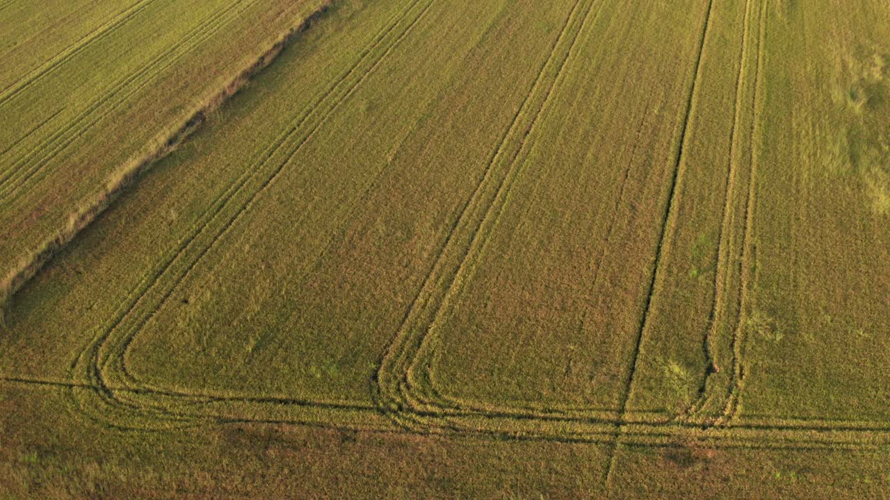 impresionante vista de drones de los campos de arroz al norte de italia, lombardía