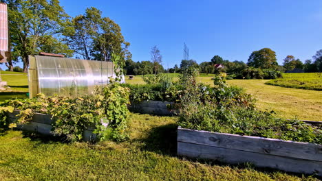 lush vegetable garden with raised beds and a greehouse in a countryside setting