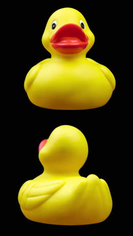 yellow rubber duck in vertical