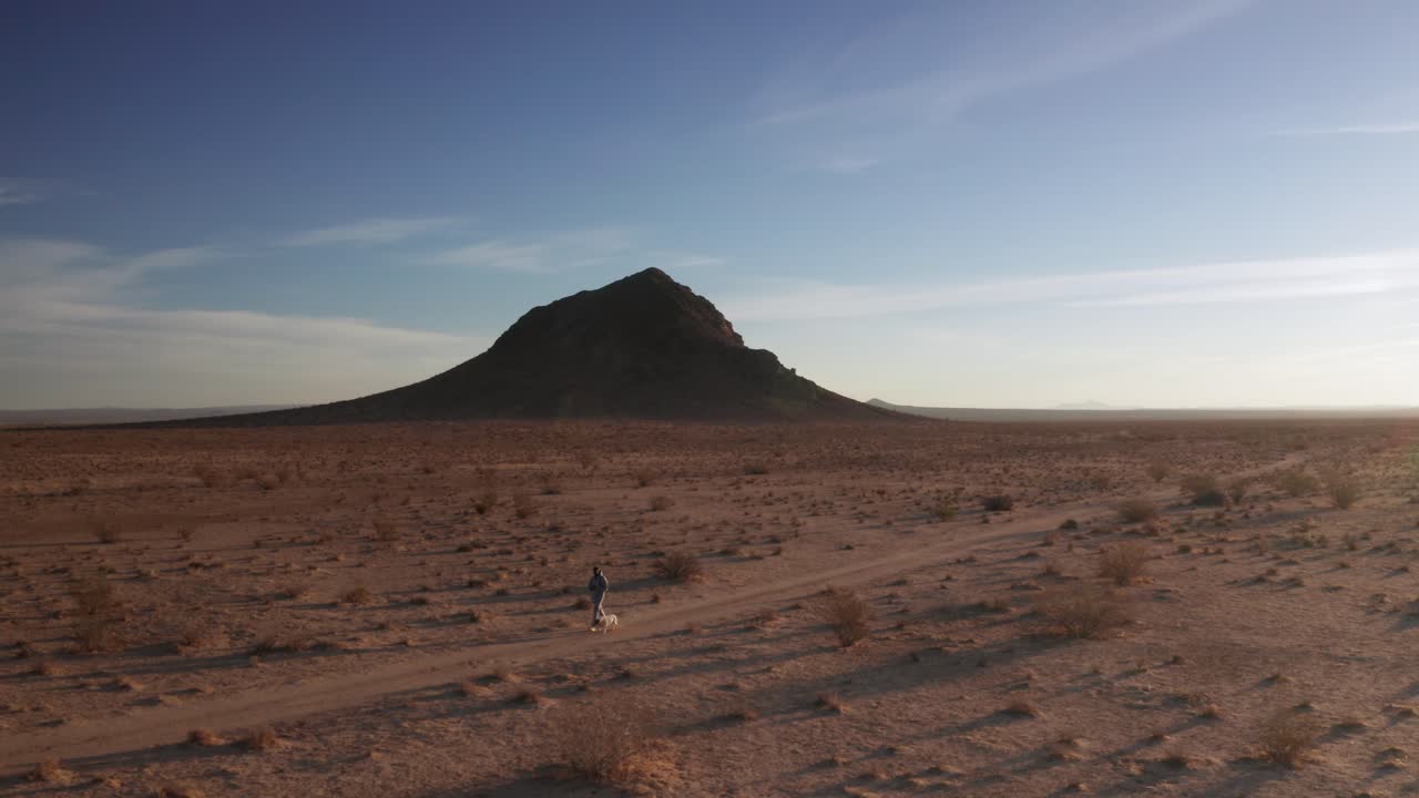 hombre paseando a un perro pitbull por el desierto de mojave