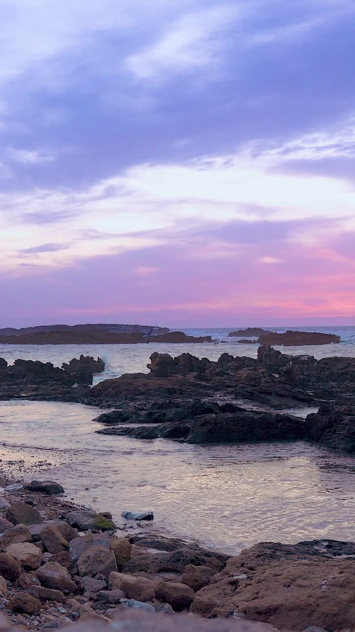 Atlantic coast with waves and seagulls at sunset. Morocco, Essaouira. Shore with stones. Pink clouds in the blue sky. Vertical video