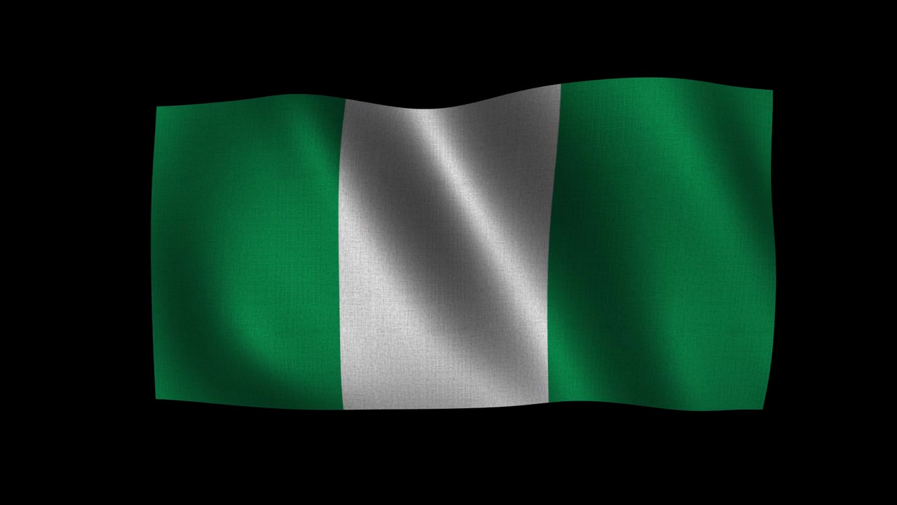 Nigerias flag vajende stoftekstur