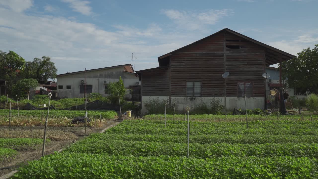 오래된 목조 집 을 가진 채소 농장 의 전망