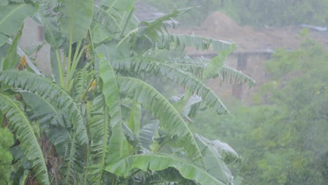 indian village girl wearing a colorful raincoat, smiling joyfully while enjoying rainfall in rural setting, 4k video