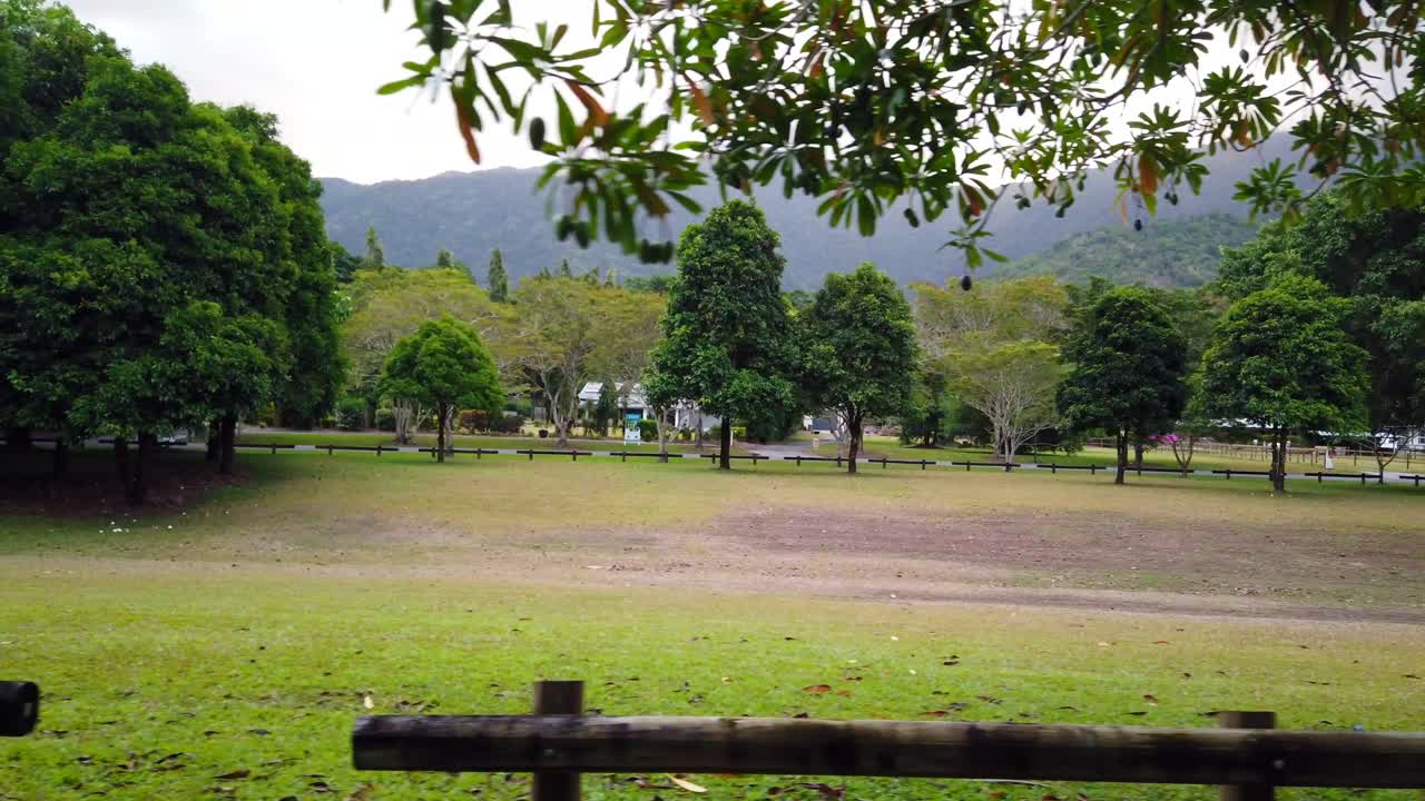 두 번째 배경에 산과 함께 열린 잔디 ⁇ 에 있는 나무