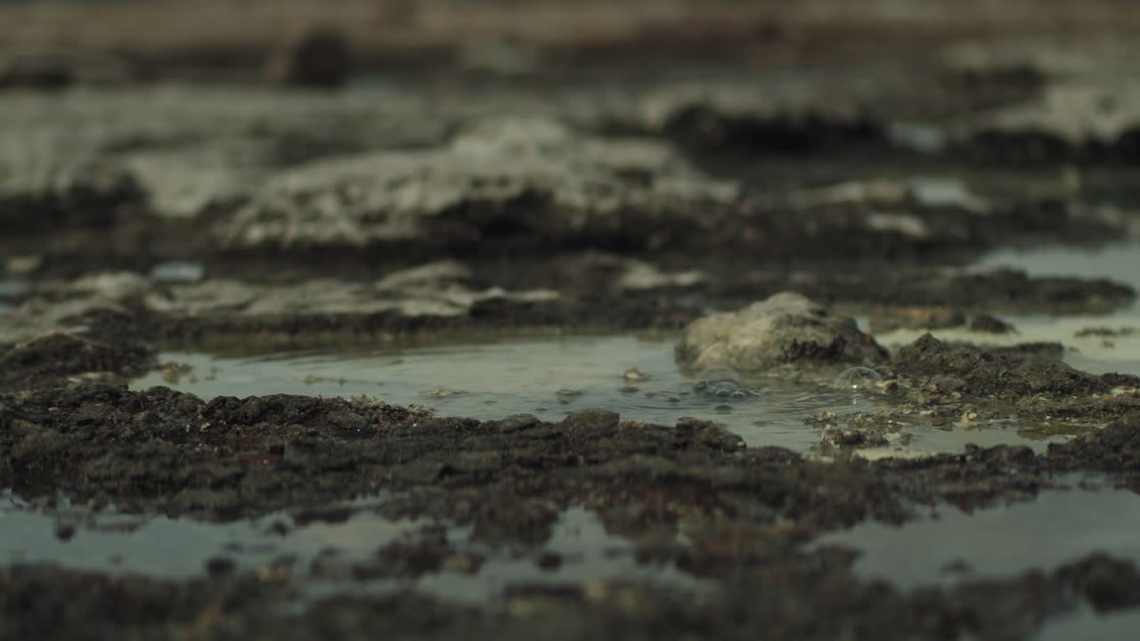 Close view of bubbles coming out of the sulfur flats near lake Rotorua, New Zealand.