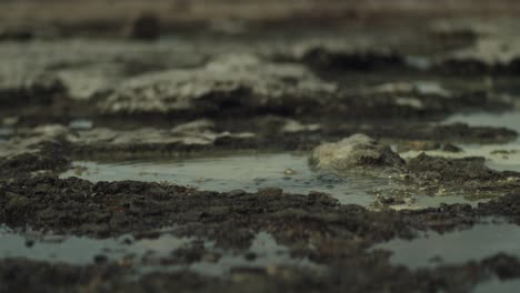 close view of bubbles coming out of the sulfur flats near lake rotorua, new zealand.