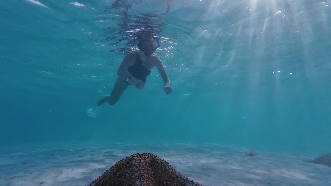 Femme faisant de la plongée avec tuba au-dessus d'une étoile de mer dans la mer des Caraïbes limpide. Scène sous-marine tropicale avec une vie marine éclatante et une eau cristalline, Los Roques, Venezuela