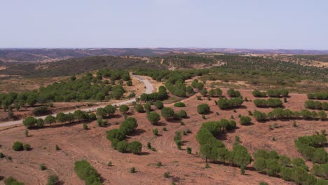 Leere-Straße-In-Idyllischer-Landschaft-Mit-üppigen-Grünen-Bäumen-An-Sonnigen-Tagen