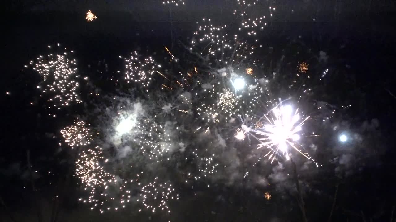 Fuochi d'artificio notturni visti attraverso i rami Full HD 60fps.