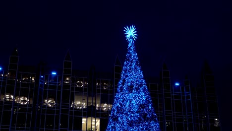 christmas tree in downtown pittsburgh