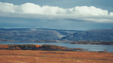 colorful autumn in the norwegian tundra