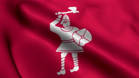 fighting man banner of harold godwinson