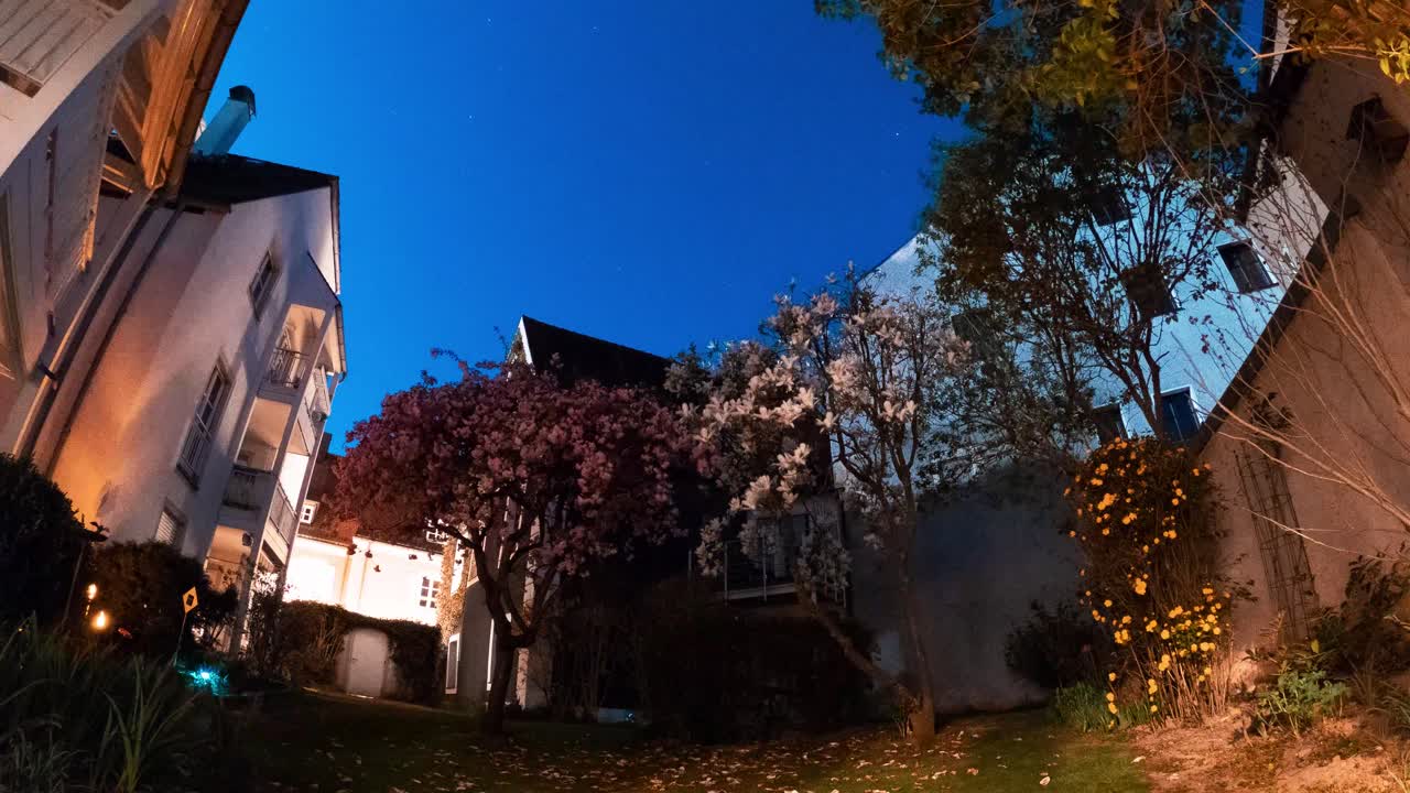 A Courtyard's Transformation: Day to Night and Blooming Seasons