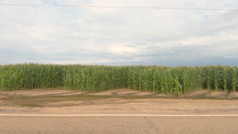 A-country-drive-down-a-road-in-the-heartland-of-America