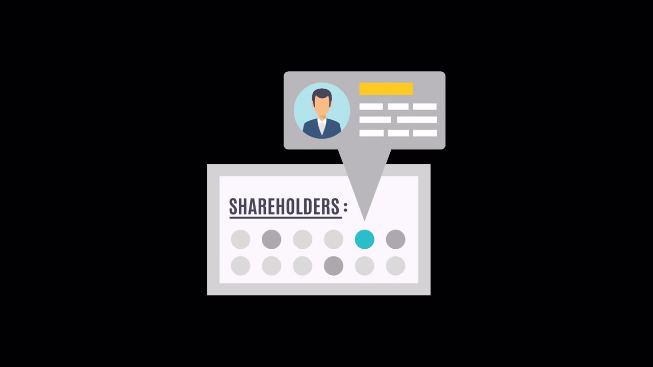 Animated Graphic Displaying Shareholder Profile Information