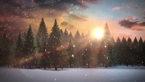 Animation-of-snow-falling-over-fir-trees-at-christmas