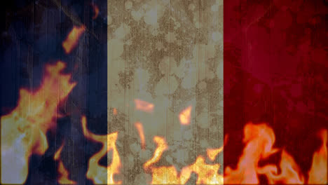 bandera francesa siendo quemada por el fuego