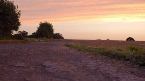 Dusty-dry-road-against-warm-sunset-tilting-shot