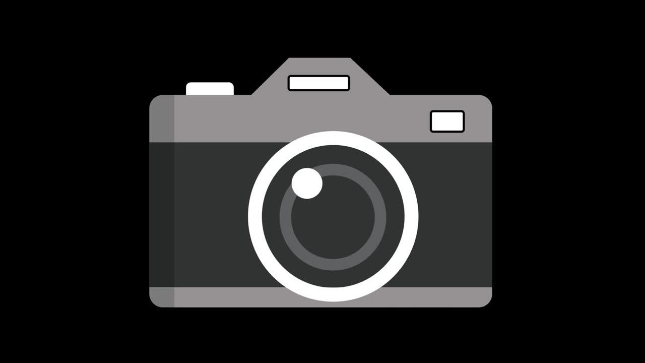 Vector cartoon camera.