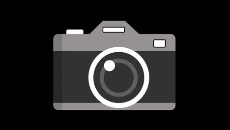 vector cartoon camera.