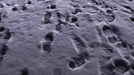 footprints in the snow loop
