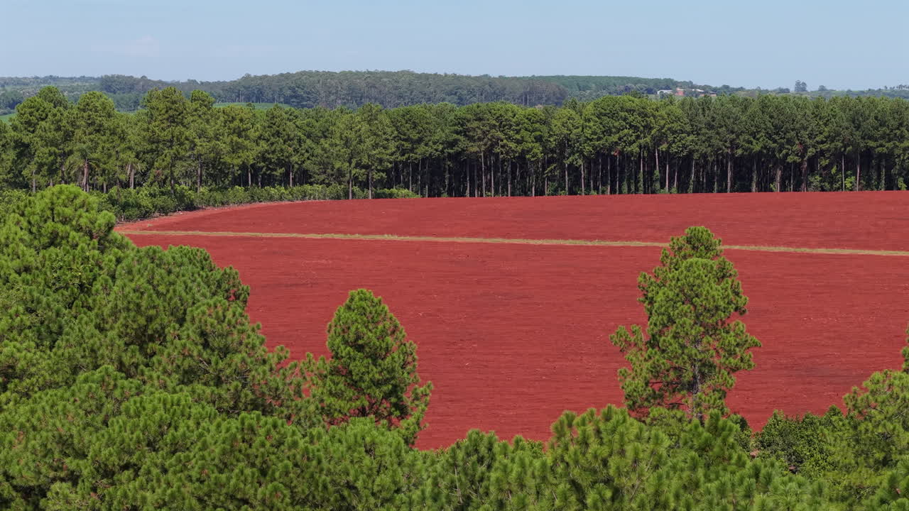 Expansive farmland with red soil fields and dense forest, rural agriculture