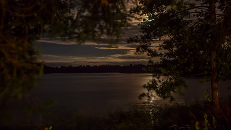 timelapse of lake in bright moonlight with leaves in the foreground making a frame