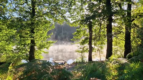 mist rising off a lake in early autumn sun through trees with a fishing landing in the foreground