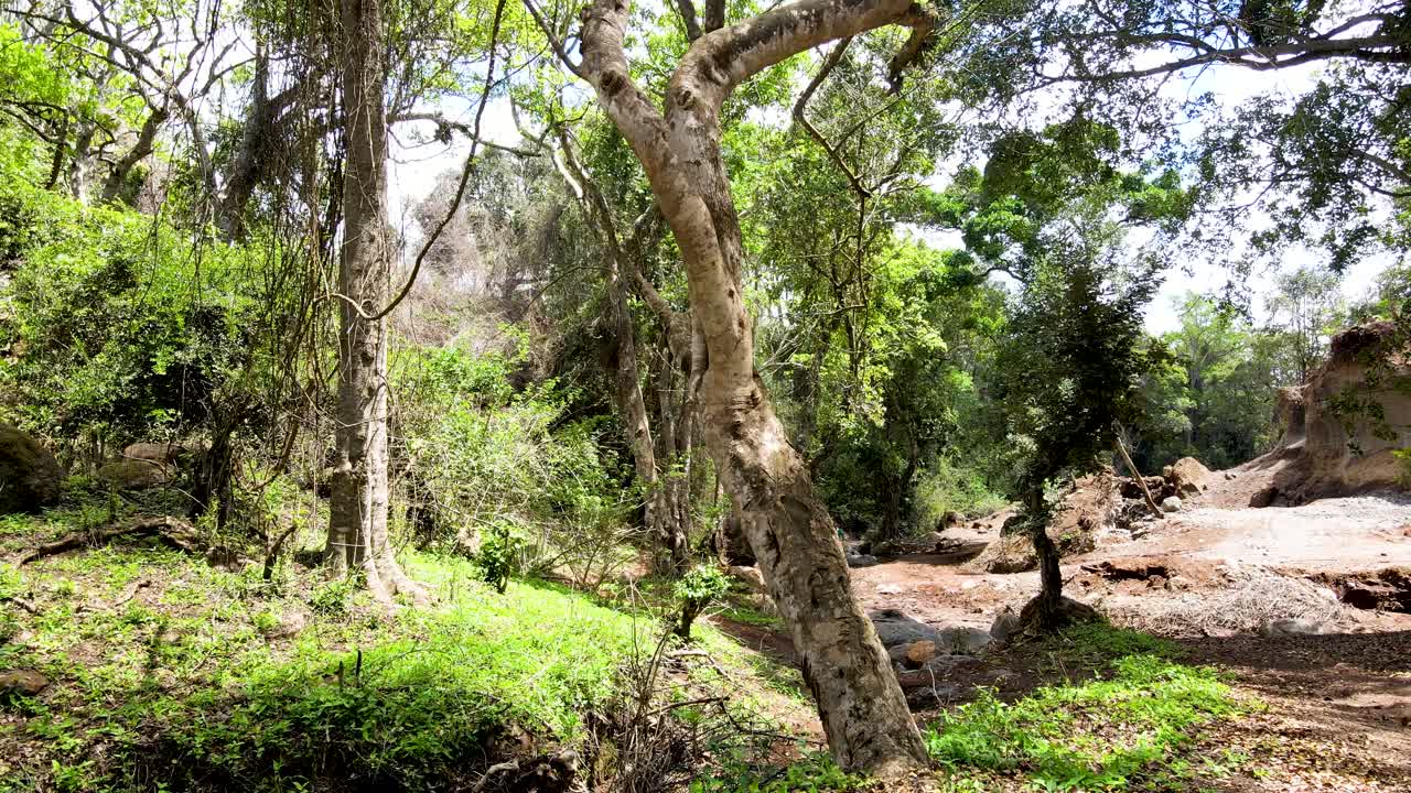 cielo de la aldea al aire libre hermoso paisaje de la aldea del bosque del paisaje aéreo - fotografía aérea del bosque rural kenia - controlador inalámbrico de drones quadcopter