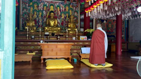 rear view of religious korean monk praying inside temple in front of golden buddha