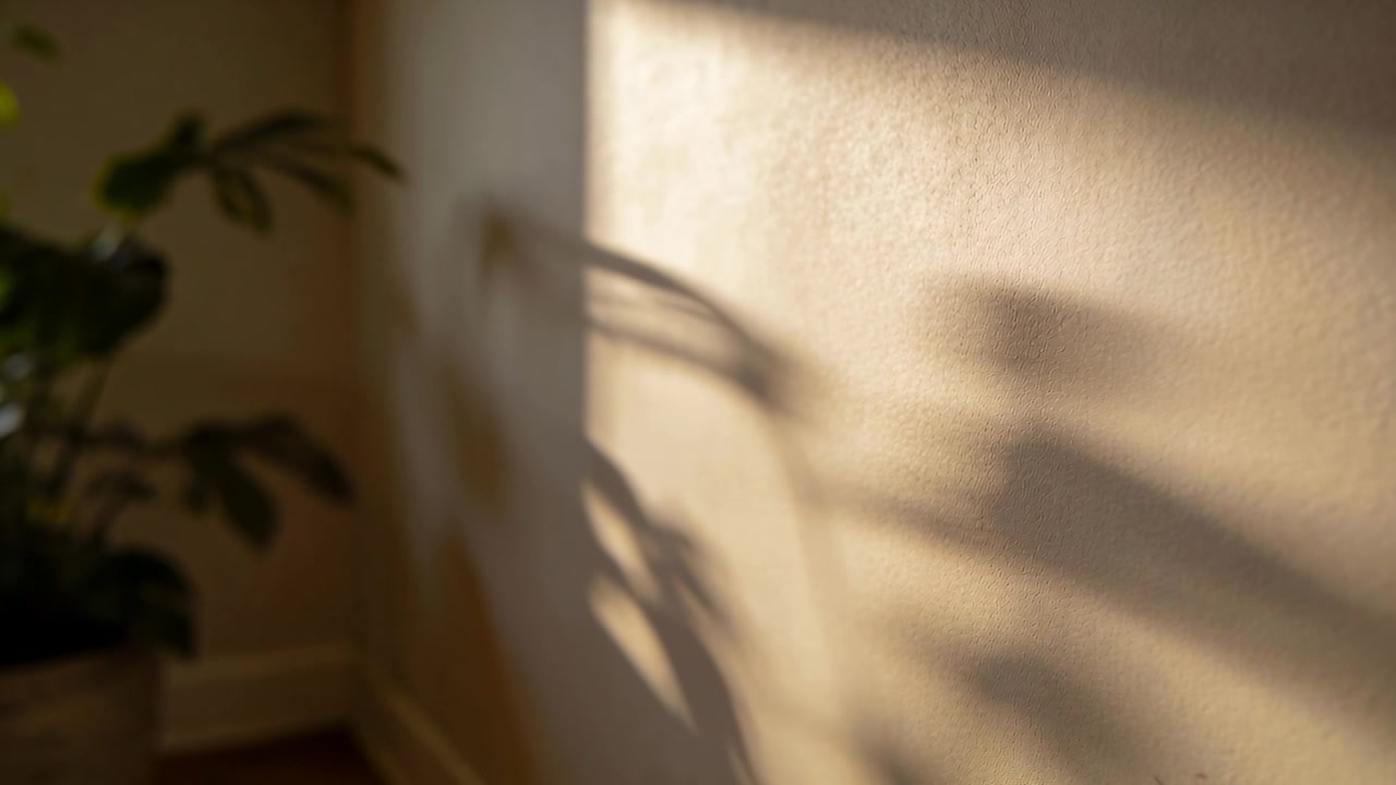 Shifting plant and pot shadow moving across textured wall corner as sunlight rectangle shifts