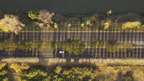 Toma-De-Drones-De-Autos-Que-Pasan-En-Un-Bulevar-Con-Vegetación-Cerca-De-Un-Río-En-Buenos-Aires