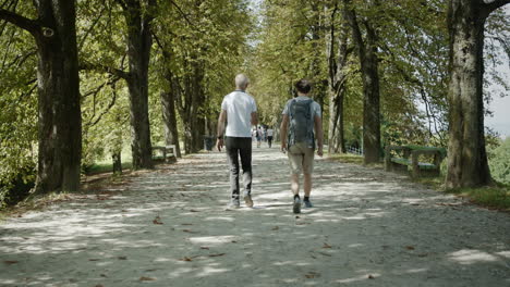 a young hiker is walkig in the avenue of trees with a older gentlemen to discus a hiking destination