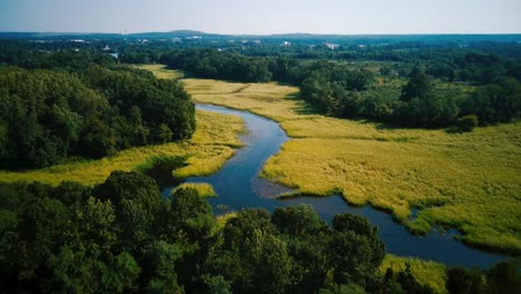 drone flying over swamp area 4k