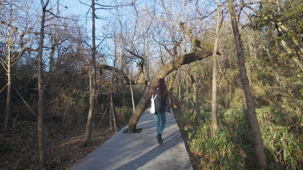 Girl ducking under bent trees while walking on path at Tianmen Mountain, China