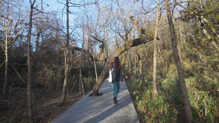 Ragazza che si china sotto gli alberi piegati mentre cammina sul sentiero del monte Tianmen, Cina