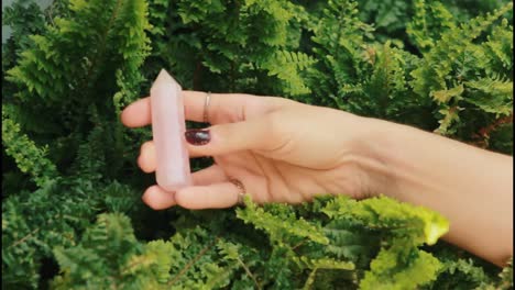 rose quartz crystal in a garden