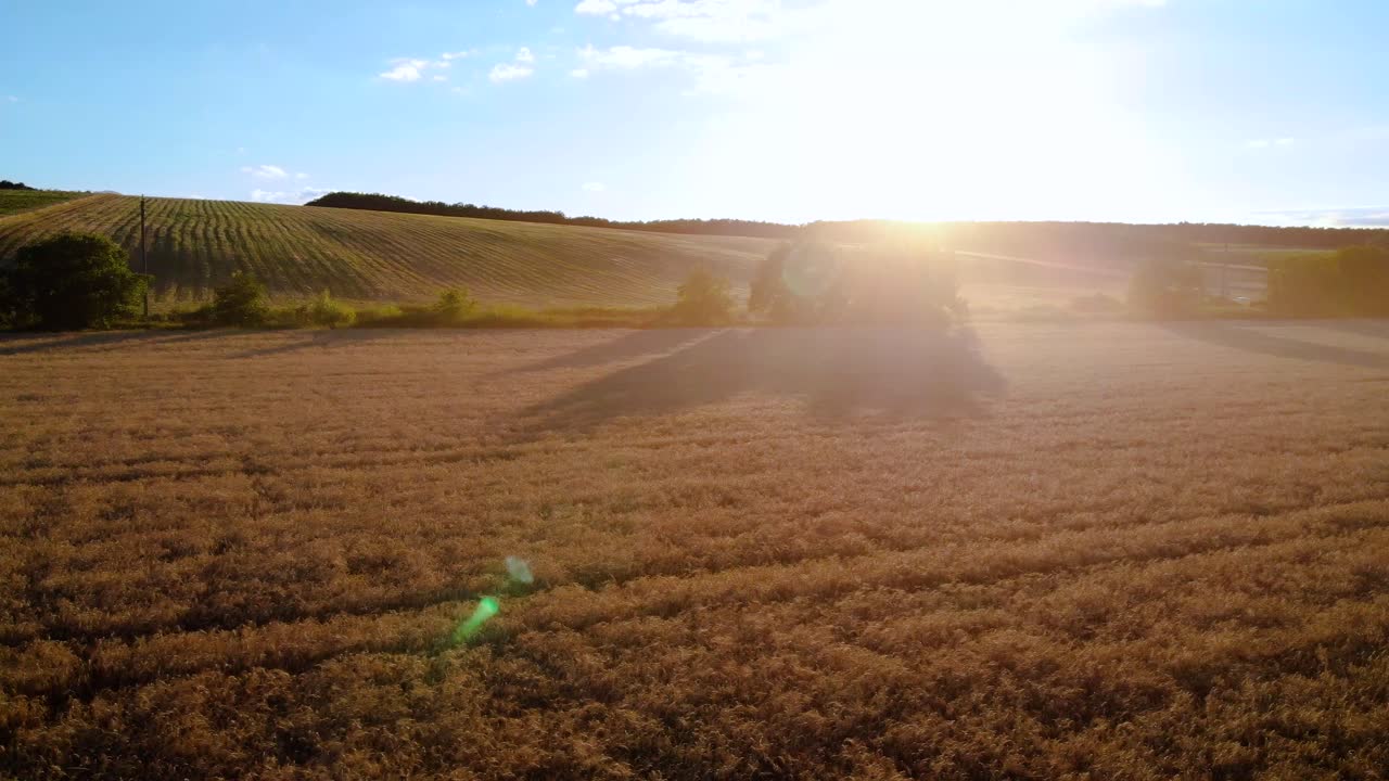 vista aérea de un campo de trigo cerca de una granja durante la puesta de sol en verano que representa la vida en el campo