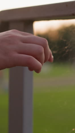 la mano de la mujer toca la telaraña en la valla. invención natural de la araña y contacto con parte de la naturaleza salvaje. caminata nocturna de la mujer al atardecer