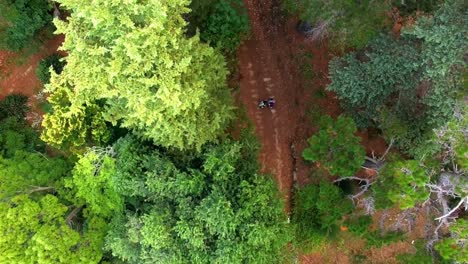 una pareja de excursionistas en bicicleta en el bosque.