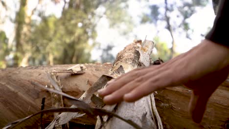 SLOWMO-shot-of-man-chopping-and-turning-log