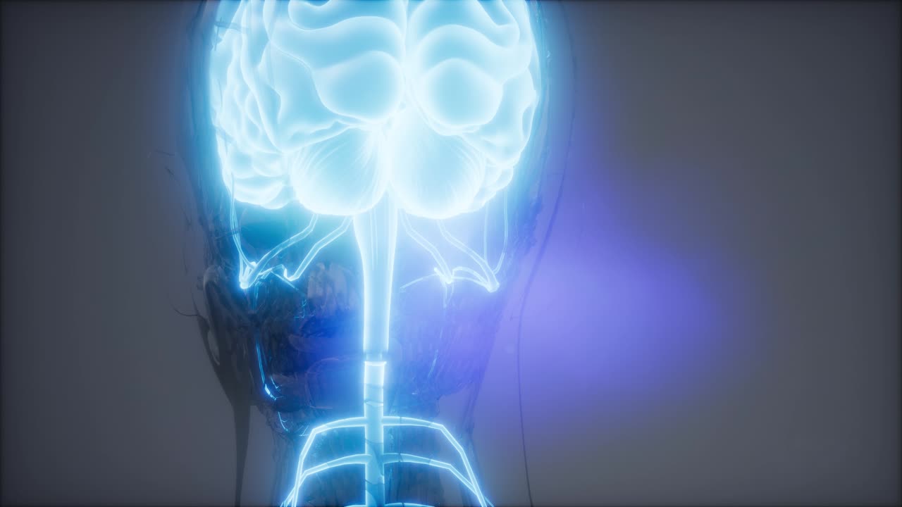 Esame radiologico del cervello umano