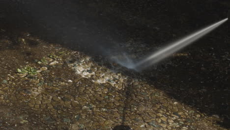 powerful water jet from pressure washer being sprayed on weed and moss on dirty garden tile - dynamic zoom out