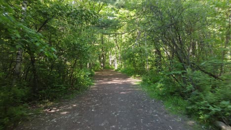 Caminando-Por-Un-Hermoso-Sendero-Forestal-En-Un-Día-Soleado-De-Verano,-Vista-En-Primera-Persona