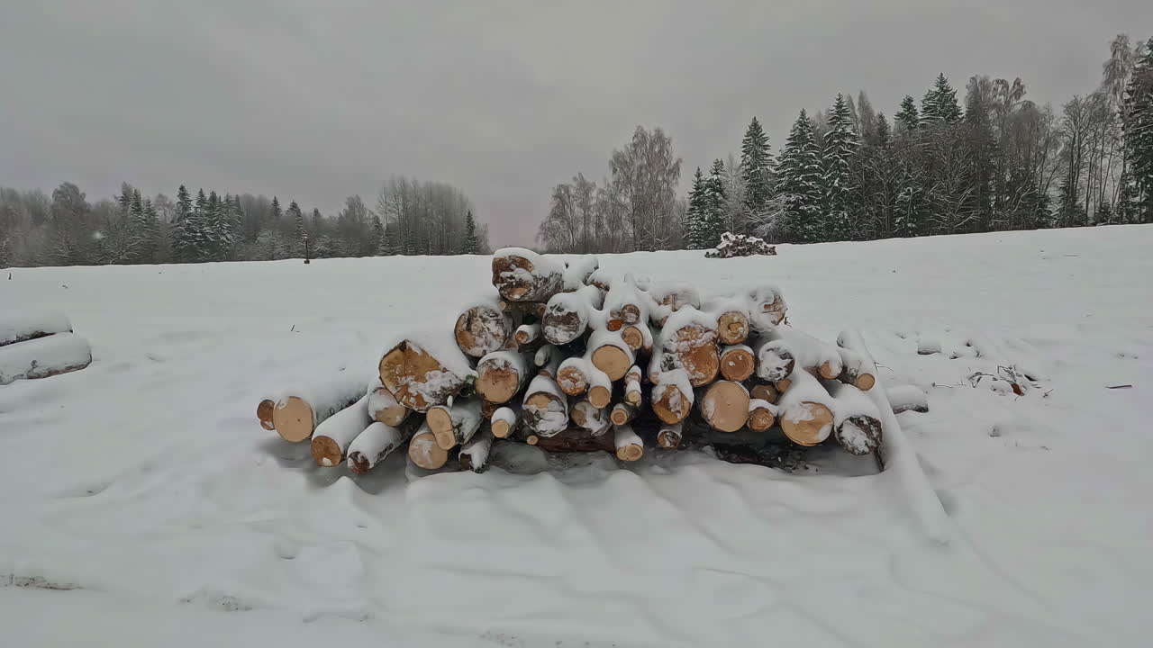 Panorering af snedækkede fældede bøgestammer i udkanten af en skov på en kold vinterdag.